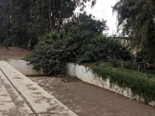 Foto 3 de ‼️Alquilo o vendo terreno cerca al centro de Chincha-Sunampe ‼️