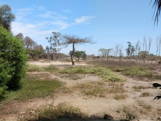 Foto 4 de ‼️Alquilo o vendo terreno cerca al centro de Chincha-Sunampe ‼️