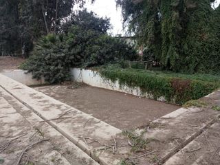 Foto 11 de ‼️Alquilo o vendo terreno cerca al centro de Chincha-Sunampe ‼️