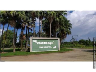 Foto 7 de VENDO LOTES CAMPESTRES EN EL CAUCA