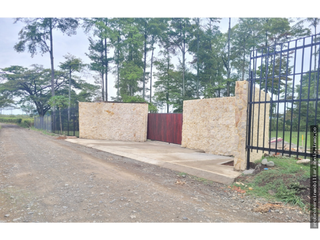 Foto 6 de VENDO LOTES CAMPESTRES EN EL CAUCA