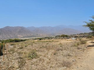 Foto 9 de ¡Gran Oportunidad De Inversión En Collambay – Más De 10,000 M² A Un Precio Increíble! | (aipanaque)