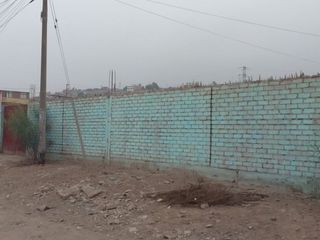Foto 2 de VENTA DE TERRENO EN PUENTE PIEDRA (ZAPALLAL)