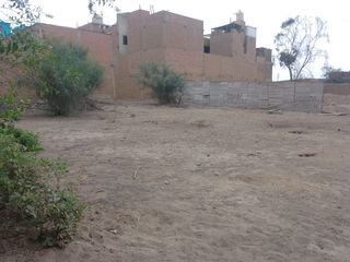 Foto 5 de VENTA DE TERRENO EN PUENTE PIEDRA (ZAPALLAL)