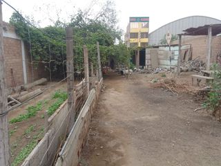 Foto 6 de VENTA DE TERRENO EN PUENTE PIEDRA (ZAPALLAL)