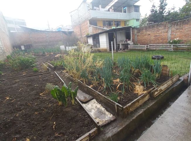 place photo 26