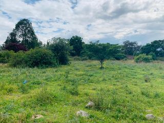 Foto 5 de EN RENTA TERRENO PUEMBO $850