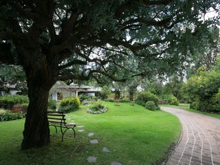 Foto 21 de HERMOSA CASA EN VENTA EN PAKAKUNA – RODEADA DE NATURALEZA