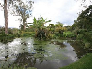 Foto 39 de HERMOSA CASA EN VENTA EN PAKAKUNA – RODEADA DE NATURALEZA