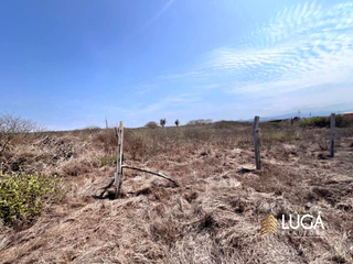 Foto 5 de Terreno de oportunidad frente al mar en venta, Playa San José, Manta Manabí Ecuador