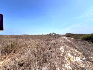 Foto 6 de Terreno de oportunidad frente al mar en venta, Playa San José, Manta Manabí Ecuador