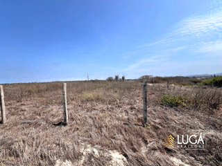 Foto 7 de Terreno de oportunidad frente al mar en venta, Playa San José, Manta Manabí Ecuador