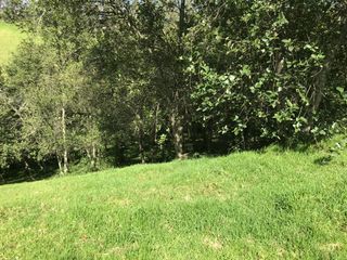 Foto 2 de Vendo terreno de 4 hectáreas en Sangolquí.