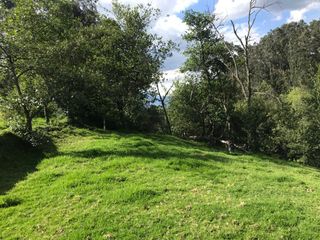 Foto 1 de Vendo terreno de 4 hectáreas en Sangolquí.