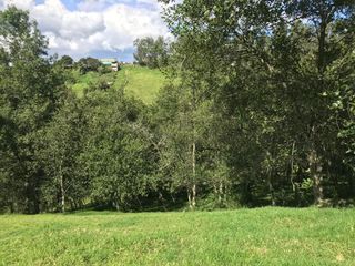 Foto 8 de Vendo terreno de 4 hectáreas en Sangolquí.