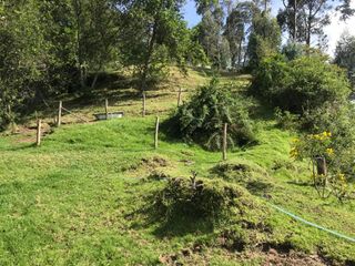 Foto 9 de Vendo terreno de 4 hectáreas en Sangolquí.