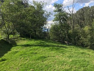 Foto 10 de Vendo terreno de 4 hectáreas en Sangolquí.