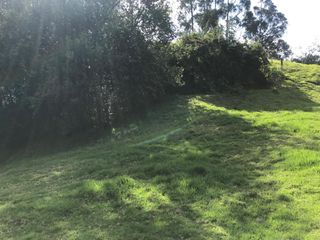 Foto 12 de Vendo terreno de 4 hectáreas en Sangolquí.