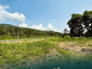 Foto 2 de ✨ Terreno en venta