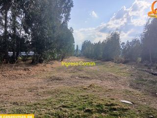 Foto 2 de VENDO TERRENO EN EL EX FUNDO SANTA ANA EN EL TAMBO - HUANCAYO
