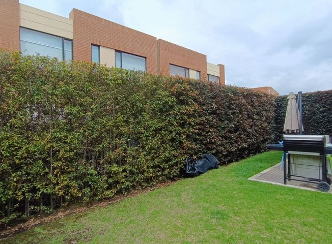 place photo 41