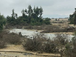 Foto 23 de VENTA TERRENO AGRICOLA ALTURA KM 220 PANAMERICANA SUR entre Chincha y Pisco
