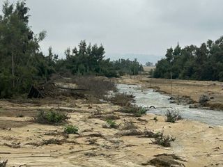 Foto 1 de VENTA TERRENO AGRICOLA ALTURA KM 220 PANAMERICANA SUR entre Chincha y Pisco