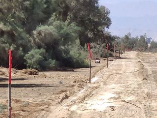 Foto 1 de VENTA TERRENO AGRICOLA ALTURA KM 220 PANAMERICANA SUR entre Chincha y Pisco