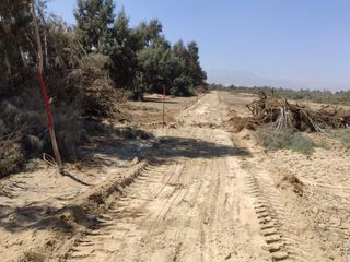 Foto 3 de VENTA TERRENO AGRICOLA ALTURA KM 220 PANAMERICANA SUR entre Chincha y Pisco