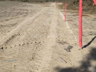 Foto 5 de VENTA TERRENO AGRICOLA ALTURA KM 220 PANAMERICANA SUR entre Chincha y Pisco
