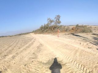 Foto 6 de VENTA TERRENO AGRICOLA ALTURA KM 220 PANAMERICANA SUR entre Chincha y Pisco