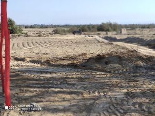 Foto 7 de VENTA TERRENO AGRICOLA ALTURA KM 220 PANAMERICANA SUR entre Chincha y Pisco