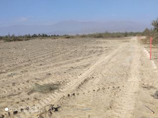 Foto 8 de VENTA TERRENO AGRICOLA ALTURA KM 220 PANAMERICANA SUR entre Chincha y Pisco