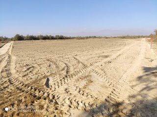 Foto 10 de VENTA TERRENO AGRICOLA ALTURA KM 220 PANAMERICANA SUR entre Chincha y Pisco