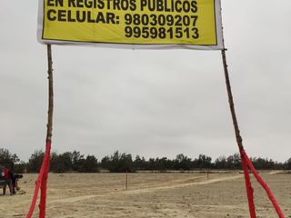 Foto 16 de VENTA TERRENO AGRICOLA ALTURA KM 220 PANAMERICANA SUR entre Chincha y Pisco