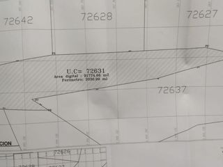 Foto 17 de VENTA TERRENO AGRICOLA ALTURA KM 220 PANAMERICANA SUR entre Chincha y Pisco