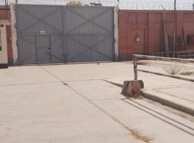 place photo 7