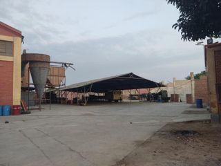 Foto 11 de VENDO O ALQUILO: LOCAL INDUSTRIAL 20MIL M²- PANAM. SUR. CHINCHA BAJA