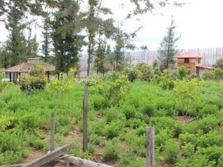 Foto 13 de TERRENO EN VENTA, TABACUNDO, LA TOSCANA 2