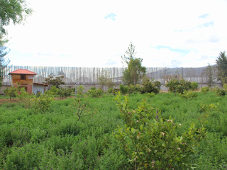 Foto 15 de TERRENO EN VENTA, TABACUNDO, LA TOSCANA 2