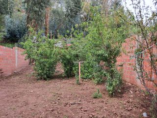 Foto 2 de SE VENDE LINDA CASITA CON UNA AMPLIA ÁREA DE TERRENO DE 468.88m2 EN LA LOCALIDAD DE HUASAO