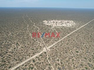 Foto 1 de Venta De Terreno Rural De 137.78 Ha. Valle Bajo Piura // ID: 1120339