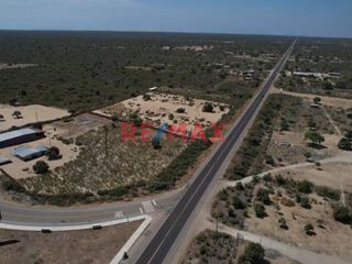 Foto 2 de Venta De Terreno Rural De 137.78 Ha. Valle Bajo Piura // ID: 1120339