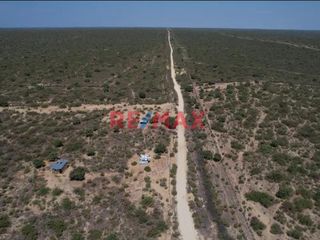 Foto 3 de Venta De Terreno Rural De 137.78 Ha. Valle Bajo Piura // ID: 1120339