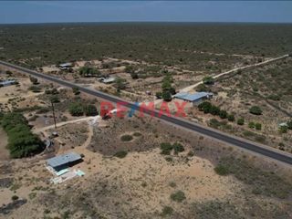 Foto 4 de Venta De Terreno Rural De 137.78 Ha. Valle Bajo Piura // ID: 1120339
