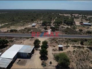 Foto 6 de Venta De Terreno Rural De 137.78 Ha. Valle Bajo Piura // ID: 1120339