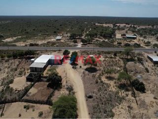 Foto 7 de Venta De Terreno Rural De 137.78 Ha. Valle Bajo Piura // ID: 1120339