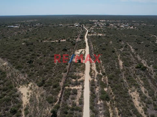 Foto 8 de Venta De Terreno Rural De 137.78 Ha. Valle Bajo Piura // ID: 1120339