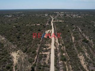 Foto 9 de Venta De Terreno Rural De 137.78 Ha. Valle Bajo Piura // ID: 1120339