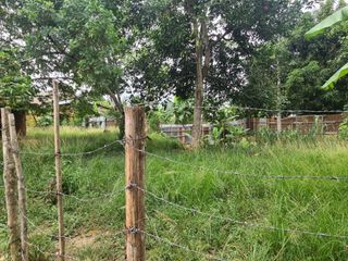 Foto 1 de Si buscas un lugar tranquilo para vivir, Lamas es perfecto. ¡Y tengo un terreno donde puedes construir tu casa desde cero!